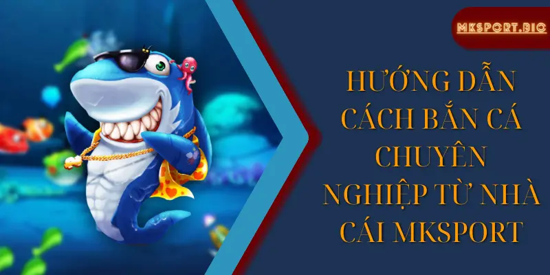 Hướng dẫn cách bắn cá chuyên nghiệp